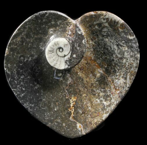 Heart Shaped Fossil Goniatite Dish #39347
